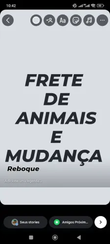 Frete de Animais e Mudanças - Preço Justo!