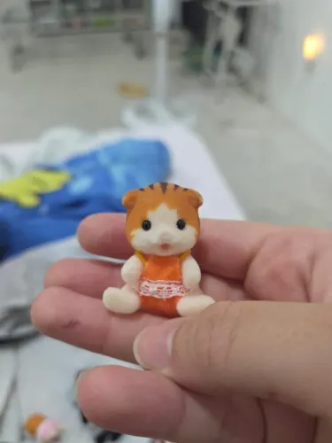 Maple Cat gata de roupa laranja usada Sylvanian Families Frete Grátis Presente Natal