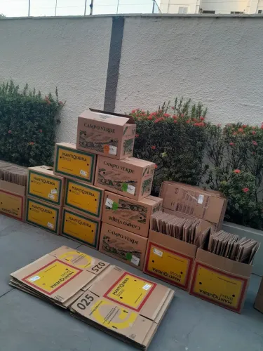 Caixas de Papelão Reforçadas
