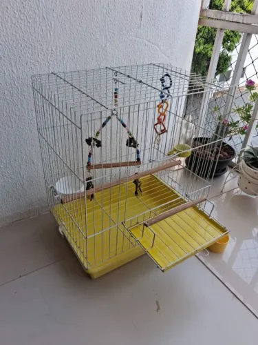 Gaiola para Calopsita e aves pequenas em geral