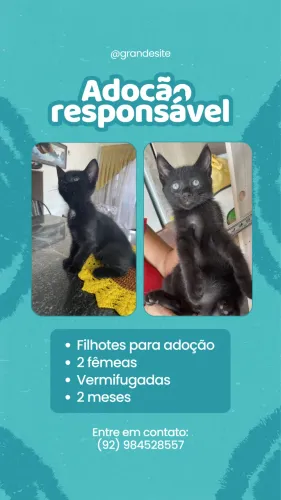 Adoção responsável