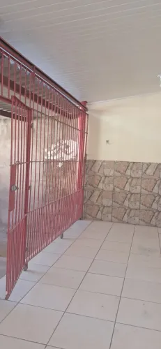 Portao de ferro