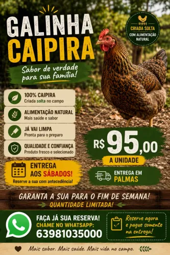 GALINHA CAIPIRA LIMPA - R$ 95,00