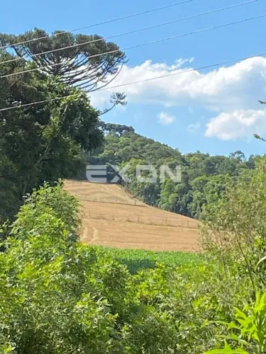 Chácara Documentada com 20.000m² em Bateias  Campo Largo
