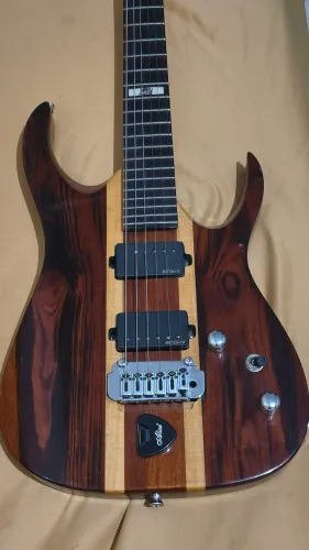 Guitarra Lutier waholiver