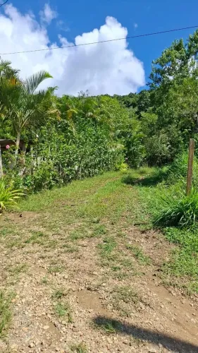 Terreno 1.125m² em São Lourenço/Santa Rita do Ribeira