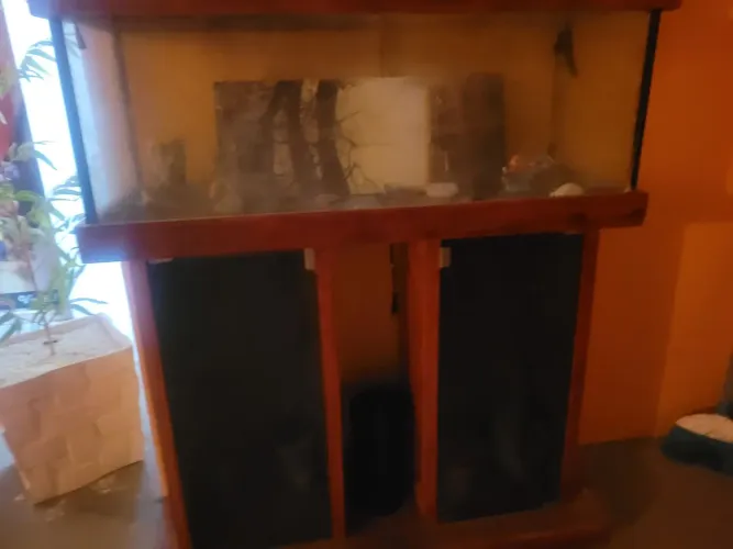 Aquario para venda