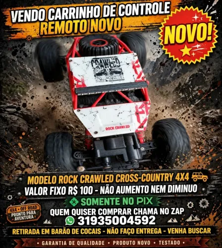 Vendo carrinho de controle remoto quem quiser comprar chama no zap mas eu vendo somentepix