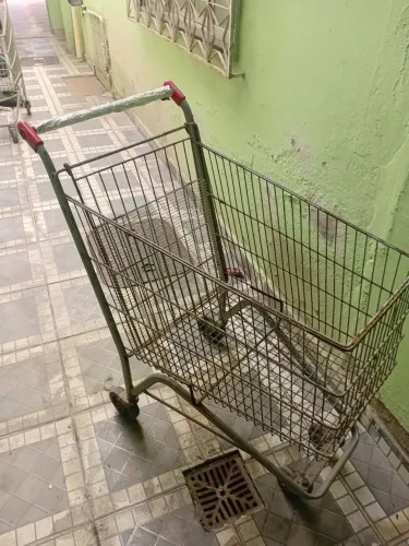 VENDO CARRINHO DE FEIRA - PEGANDO ATÉ AMANHÃ