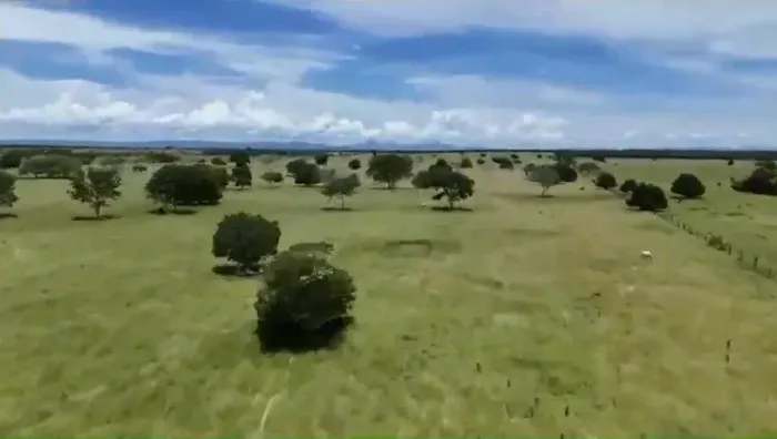 Fazenda