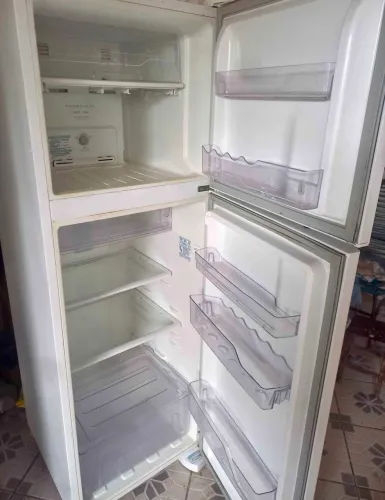 Electrolux Frost Free Duplex,