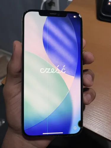 iPhone 12 Pro Max 
