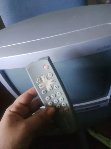 Televisão tv 14 polegadas Semp Toshiba ótimo estado pouco uso .