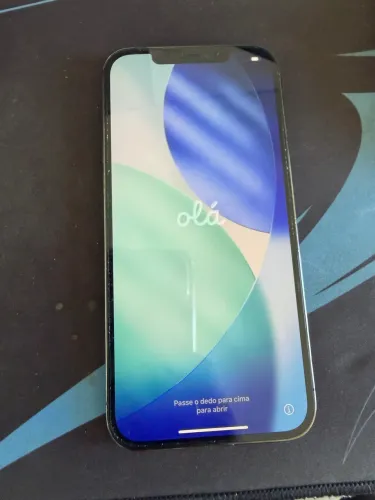 iPhone 12 Pro Max 256G