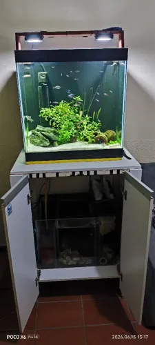 Aquário de 100 litros mais sump