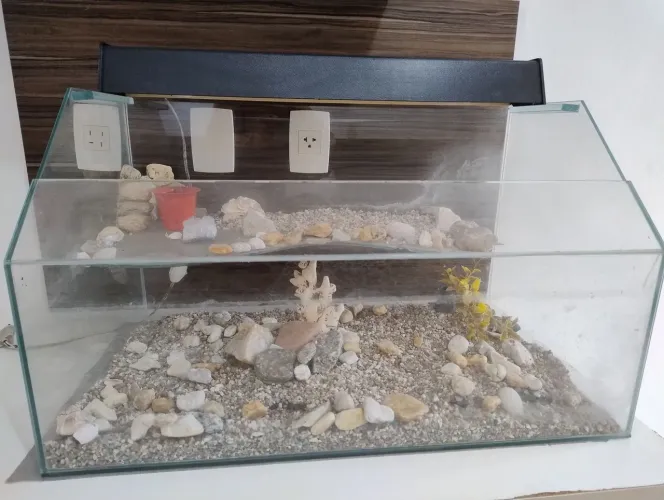 Vendo aquário usado