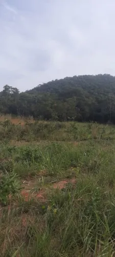 Vendo sitio com  73 hectares 