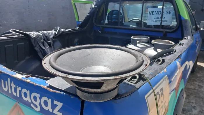 Auto falante de 12 polegadas 