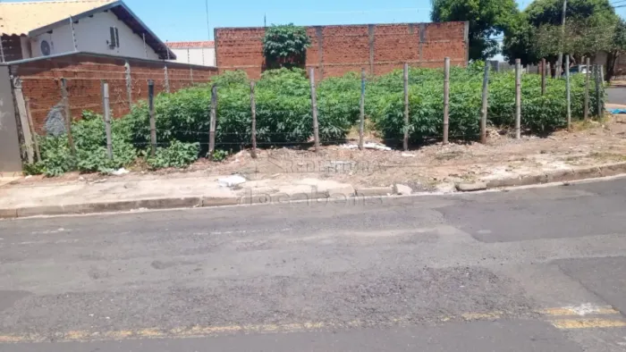 Terreno Padrão em São José do Rio Preto