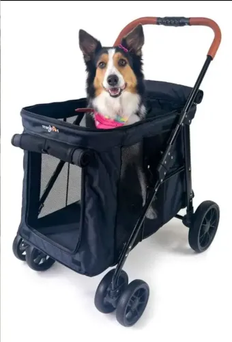 Carrinho De Passeio Cachorro Mighor para Cachorro e Gato Grande Porte Até 30kg