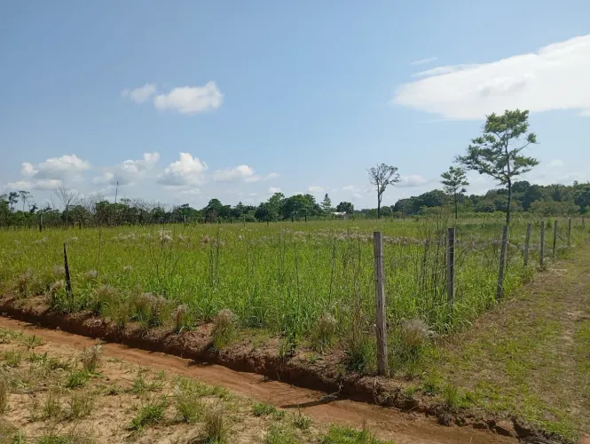 Vendo este terreno, a 1 km da ponte do canaã.