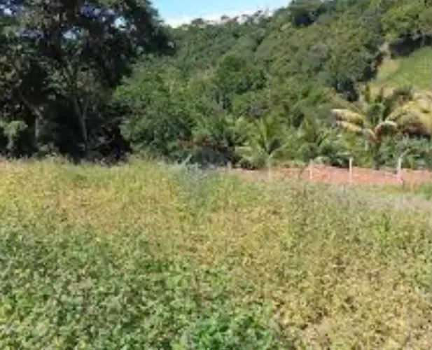 Terreno para fazer sítio ou chácara
