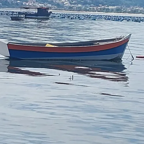 Barco baleeira 