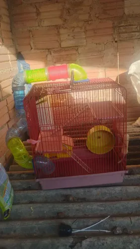 Casinha de hamister 