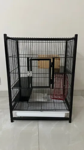 Gaiola Média para roedores