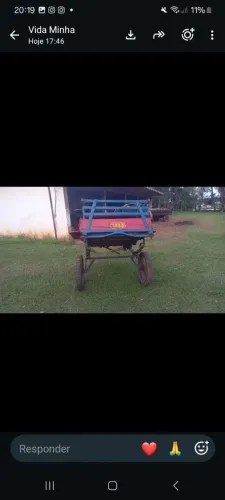 Vende-se uma carroça com riata,esta em Anápolis-go.Valor 1.500 reais ou troco por porco.