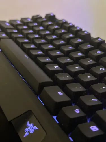 Teclado RAZER Blackwidow