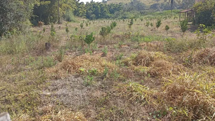Área de 1000 metros quadrados .