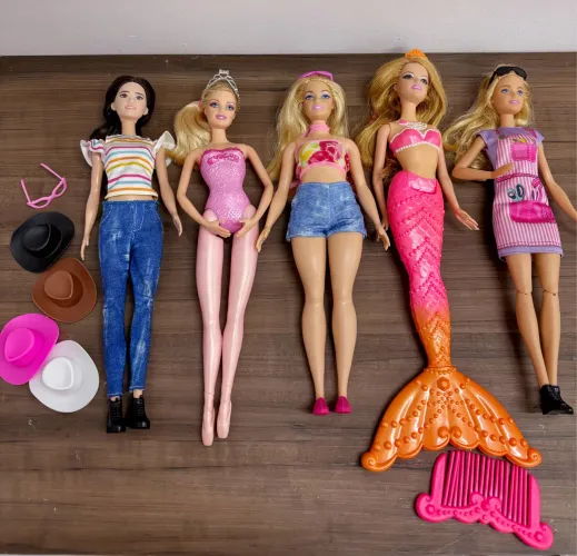 Lote Barbies e acessórios 