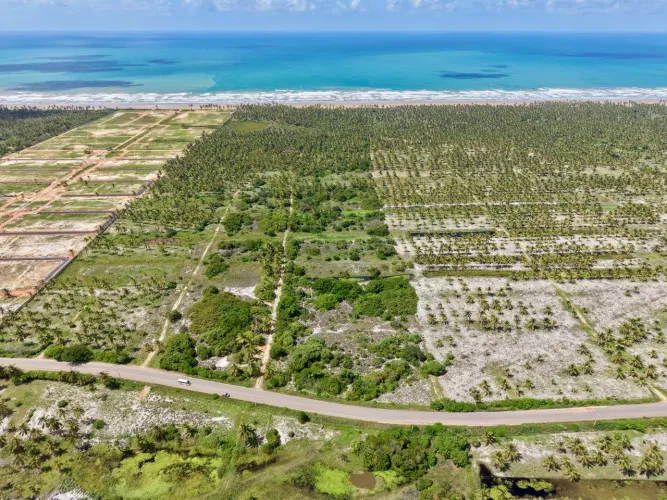 ÁREA À BEIRA MAR NO LITORAL SUL DE ALAGOAS