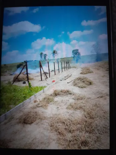 Terreno 