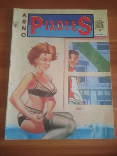 GRAPHIC NOVEL 28 - PIXOTES