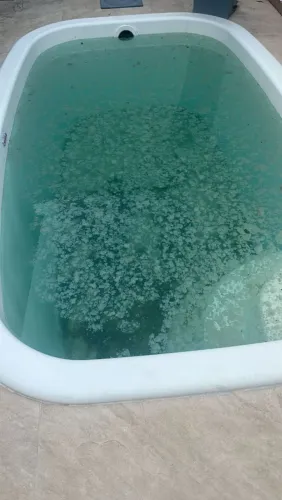 Limpeza e Manutenção de Piscinas 