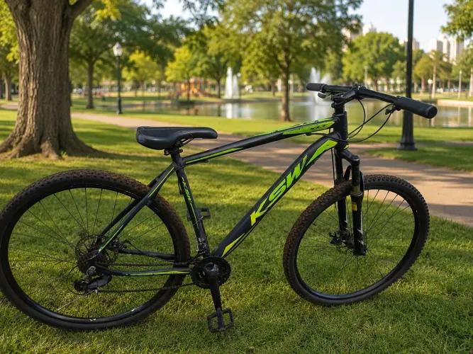 Bicicleta aro 29