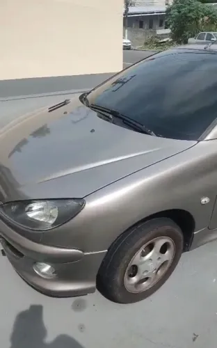 Peugeot 206 Presence 1.4/ 1.4 Flex 8V 5P 2008