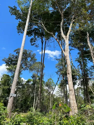 Terreno disponível no Paraíso dos lagos - AM 010, km 30