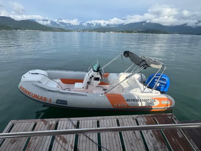 Bote barco zefir 460 motor 90hp 15 pés