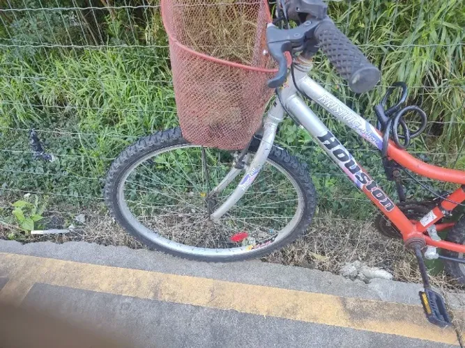 Bicicleta