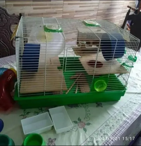 Somente venda : Gaiola para roedores 