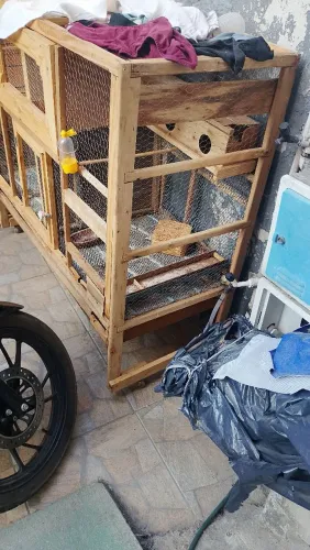 Vendo viveiro de pássaro