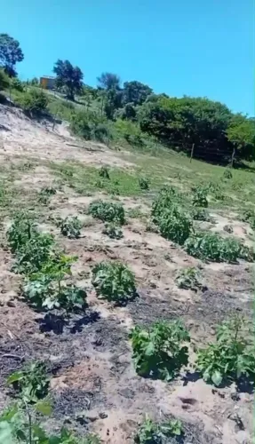 TERRENO LOTEAMENTO