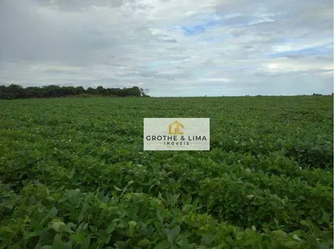 Excelente fazenda à venda na região do município de Silvanópolis .