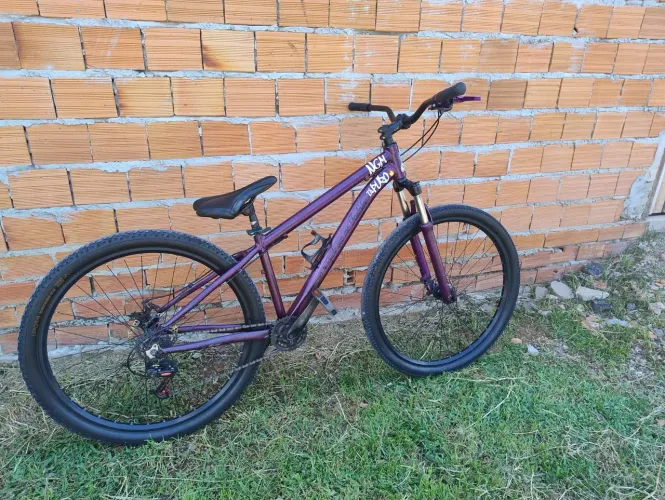 Bicicleta