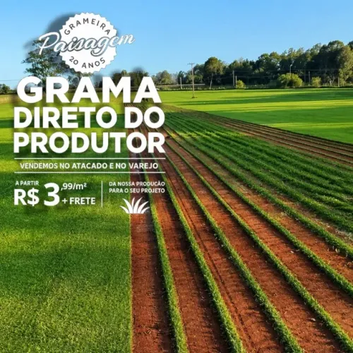 Grama Esmeralda
