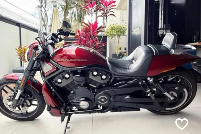 Harley night rod