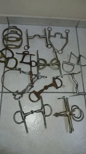 Bridao e freios para cavalos  equinos